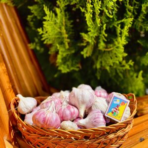 Свіжий часник